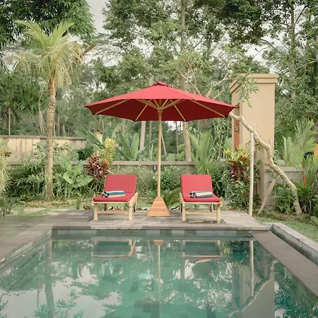 Villa purana